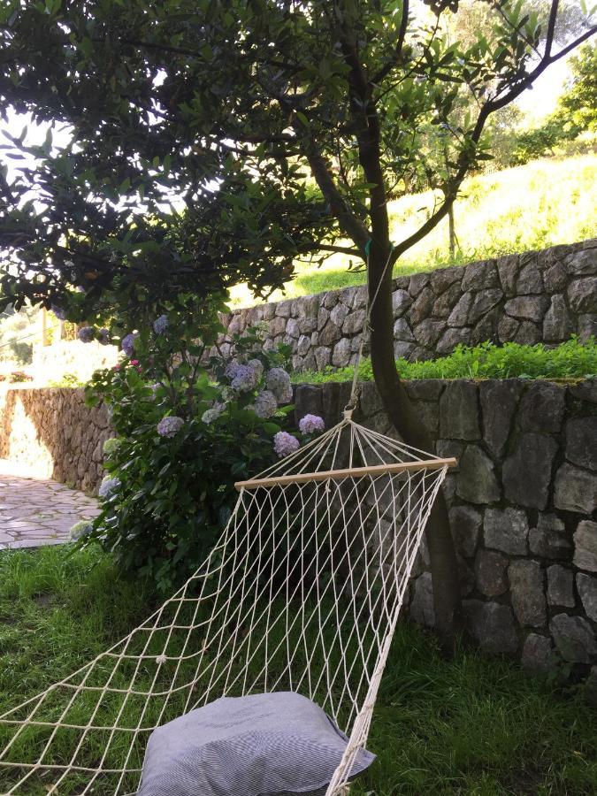 Gli Amici Di Carla Hotel La Spezia Eksteriør billede