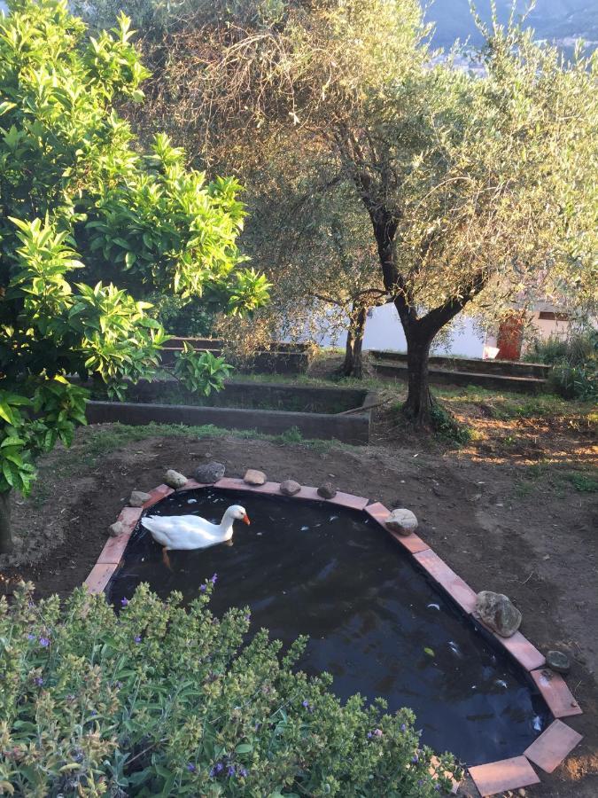 Gli Amici Di Carla Hotel La Spezia Eksteriør billede